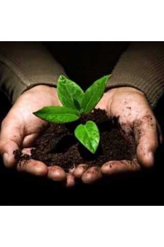 Organik Solucan Gübresi Toz Sebze Meyve Ve Süs Bitkileri 5 KG.