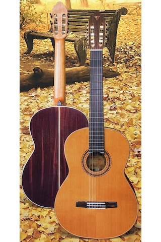Valencia Custom Cgltd5 Klasik Gitar