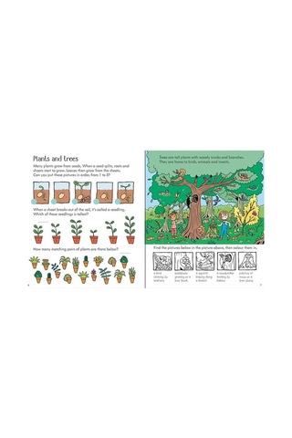 The Usborne Little Childrens Activity Book Nature