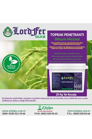 Lordfer Silica Silisyum 20 KG