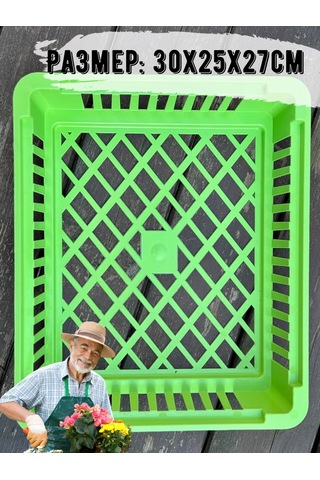 Domdacaogorod Soğanlı Bitkiler Ve Kelebek Yetiştirme Sepeti 383849206