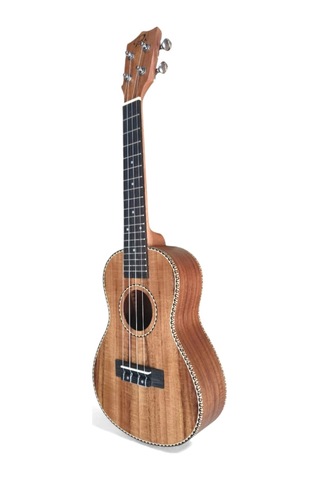 Puka Pk102c Consert Ukulele Konsert Kılıf Dahil