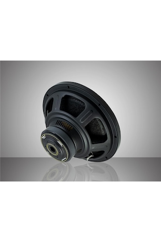 For-x Xw-12 30 Cm 1200 Watt 300 Rms Yeni Seri Subwoofer