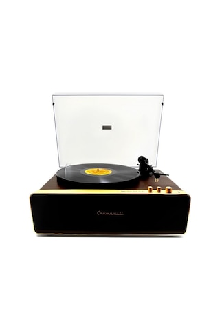 Crownwell Pikap Vegas Plus Gold Bluetoothlu Pikap Plakçalar