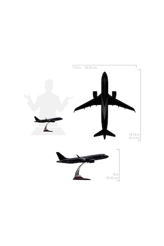 Zekupp Airbus A320 1/100 Thy Siyah Renk Çizgili Uçak Maketi