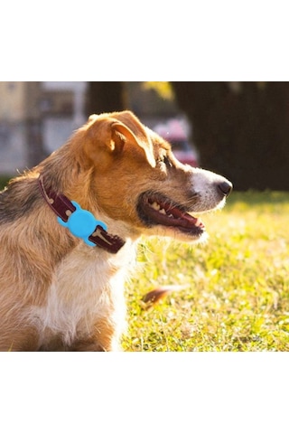 Su Geçirmez Kedi Ve Köpek Evcil Hayvan Kılıfı 1 Adet