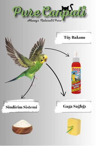 Purecanpati Tüy Bakım,enerji Blok Ve Kuş Kumu Seti