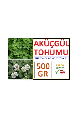 Üçgül Tohumu 500 GR Ak Üçgül Tohumu Aküçgül Tohumu Süs Yoncası