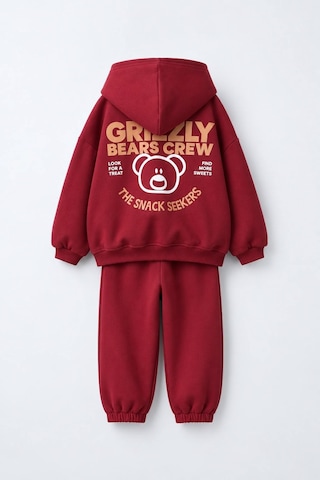 Magu Çocuk Ayıcık Baskılı Bordo Kapüşonlu Sweatshirt Ve Eşofman Altı Takımı Çok Renkli