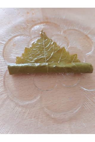 Salamura Yaprak 5 KG