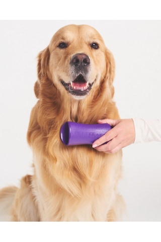 Tangle Teezer Pet Teezer De-shedding Büyük Irk Köpek Bakım Fırçası 14,7x6,4 Cm Mor-siyah