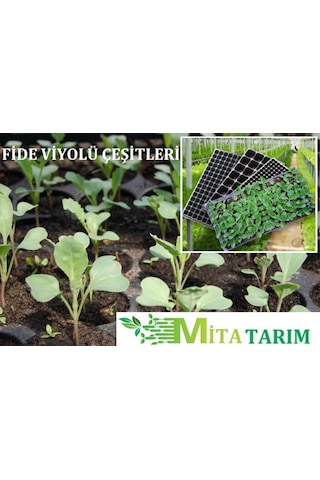 Fide Viyolü, 10 Adet,128 Gözlü Fide Viyol, Fide Tohum Viyolü (395491341)