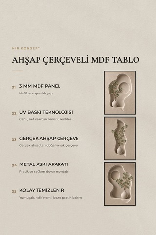 Ahşap Çerçeveli 3'lü Mdf Tablo Seti Uv Baskı Bej Organik Form Japandi Salon Duvar Dekoru Renk: Siyah Ölçü: 30 X 40