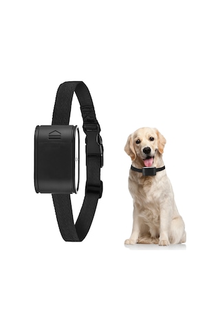 Lemestar Köpekler İçin Siyah Abs Kordonlu Alıcılı Kuruşluk, Elektronik Çit Uyumlu, H45288 Ek Parçası, 60cm Uzunluk