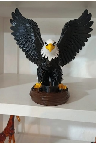 Kara Kartal Asil Obje 0