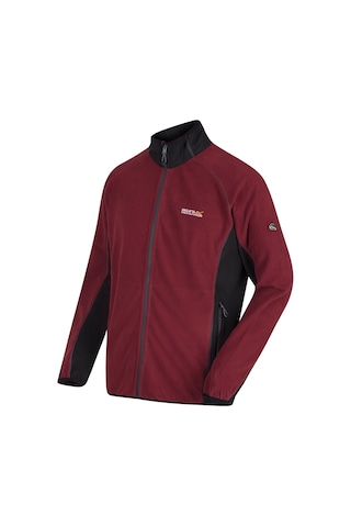 Regatta Ashton Erkek Polar Siyah