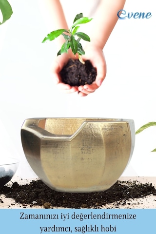 Saksı Çiçek Kaktüs Saksısı Lüx 15 Cm Önü Açık Desenli 3'lü Set Çiçeklik - Altın Eskitme