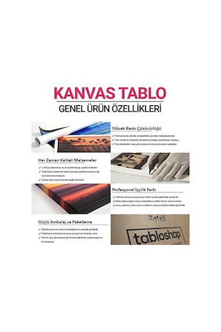İstanbul Panorama Tablosu 45 X 30