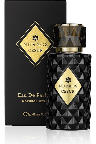 Nurxos 9788 Cesur Erkek Parfümü 8681124697882 65 ML