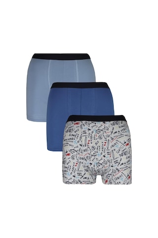 Alaturka Erkek Boxer Karışık Renk 3'lü Paket Set -bxr2000 Model-2 Model2