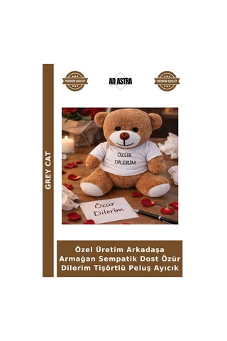 Özel Üretim Arkadaşa Armağan Sempatik Dost Özür Dilerim Tişörtlü Peluş Ayıcık Çok Renkli