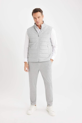 DeFacto Slim Fit Dar Kesim Dik Yaka Fermuarlı Yelek D7536AX25SPGR221