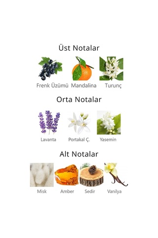 Royal Club De Polo Barcelona RPCN001003 Blanco Kaset Kadın Parfüm EDP 40 ML