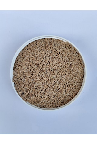 Sade Kanarya Yemi 25 KG