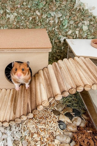30cm X 12cm Hamster Gerbil Fare Sıçan Gine Domuzu Veya Diğer Küçük Hayvanlar Için Köprü Merdiveni