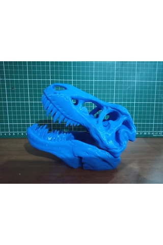 Trex İskelet Kuru Kafa Biblo Heykel
