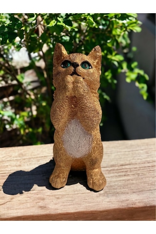 Polyester Kedi Biblo