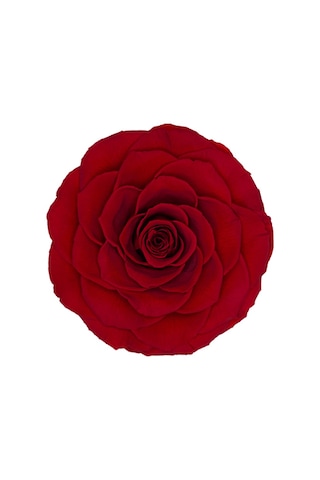 Rose Amor red-02 kırmızı şoklanmış solmaz gül XL 1 KUTU (6 ADET G