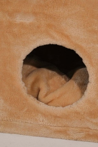 Londra Tırmalamalı Kedi Evi