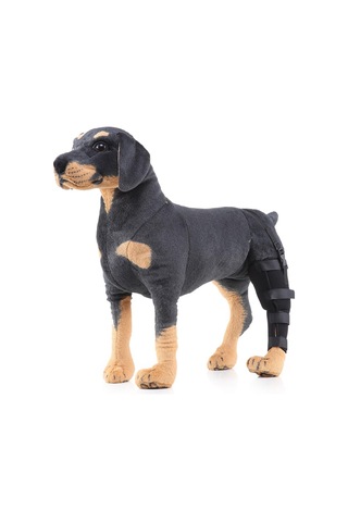 Homyl Köpek Yardımcı Kemer Koruyucu Sol-arka-ayak-siyah-l