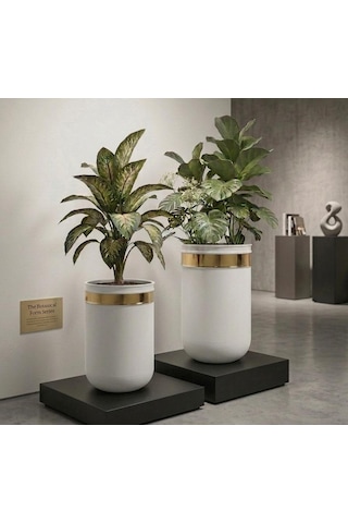 Dekoratif Glossia Beyaz Gold 55 Cm Ve 45 Cm İkili Saksı Set