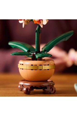 Botanicals Mini Orkide 10343 Standart