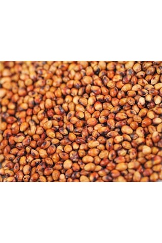Sorgum Sudan Otu Tohum 1 Kg