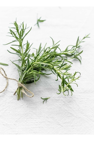 Intense Natural Saf ve Doğal Rosemary Essential Oil Biberiye Uçucu Yağı 20 ML