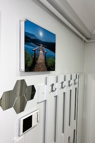 No77decor Sigorta Saklama Kutusu Aynı Zamanda Ay Işığı Göl Manzaralı Tablo