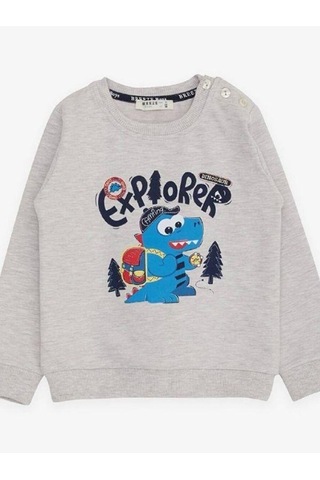 Breeze Erkek Çocuk Explorer Yazılı Dinazor Baskılı Sweatshirt-14677 Gri