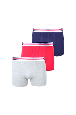 Alexander Gardi Alexandergardı 3'lü Boxer Seti M0801 001