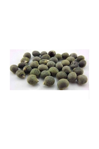 Lokman Aktar Bamya Tohumu 1 KG