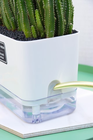 Otomatik Sulamalı Dikdörtgen Akıllı Saksı 25 X 12.5 X 14 Cm