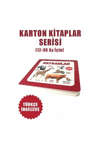 Hayvanlar Türkçe Ingilizce - Kolektif