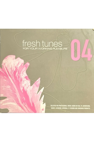 Müzik Cd'sidir Plak Değildir Cd Fresh Tunes For Your Working Pl