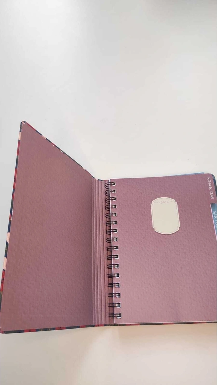 Günlük Haftalık Planlayıcı Defter Diğer