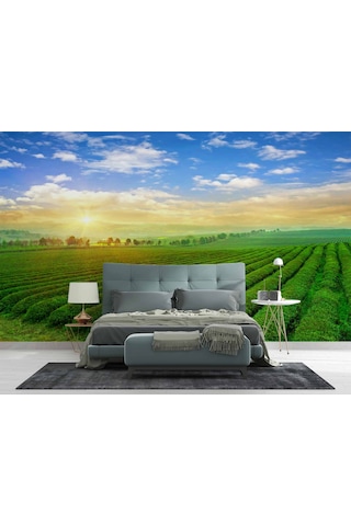 Çiçek Bahçesi Manzaralı Duvar Kağıdı Baskı 1 M²