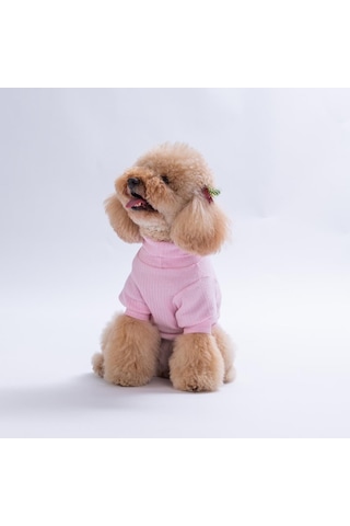 Pembe Teddywood Ayıcık Nakışlı Esnek Sıcak Tutan Köpek Sweati Köpek Kıyafeti Kedi Kıyafeti