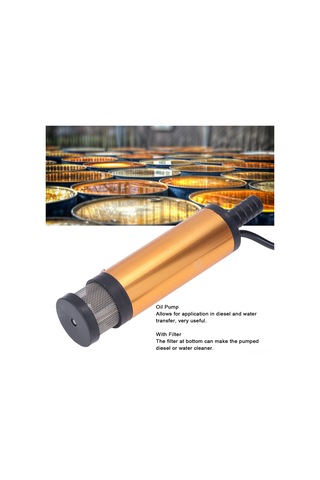 Wezone 12v Dc Elektrikli Mini Taşınabilir Yağ Pompa, Filtreli, Su Ve Dizel Transferi, 38mm, 12l/dakika, Paslanmaz Çelik Kasa