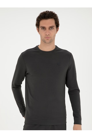 Antrasit Regular Fit Bisiklet Yaka Sweatshirt Gri